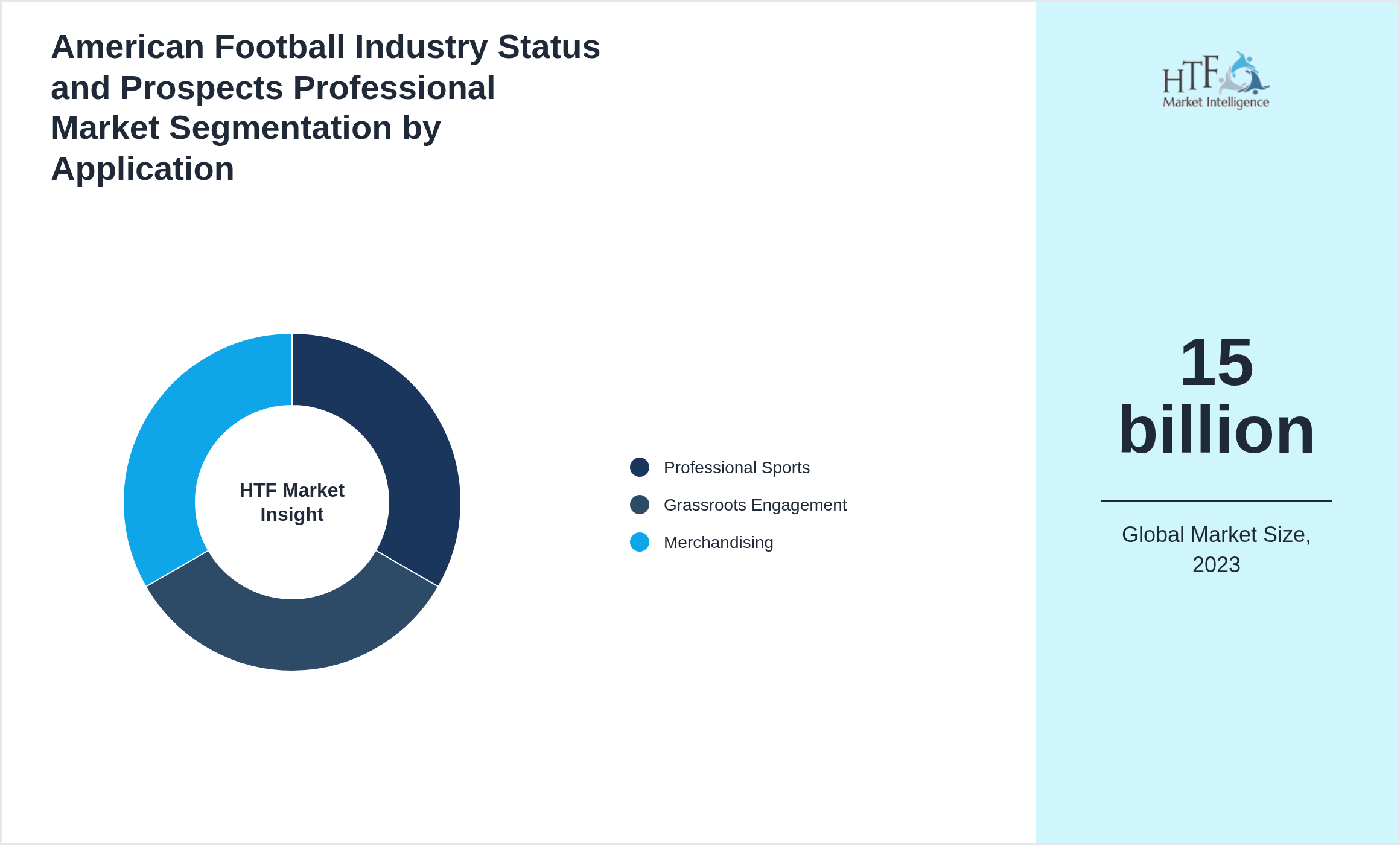 American Football Industry Status and Prospects Professional Market growth by Professional Sports, Grassroots Engagement, Merchandising