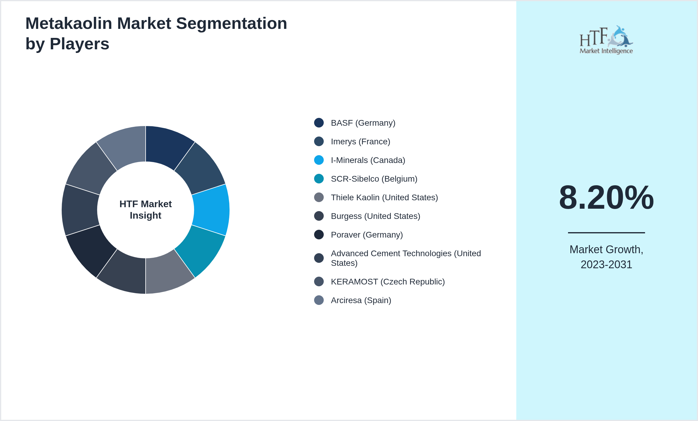 Metakaolin Market revenue share by leading and emerging players