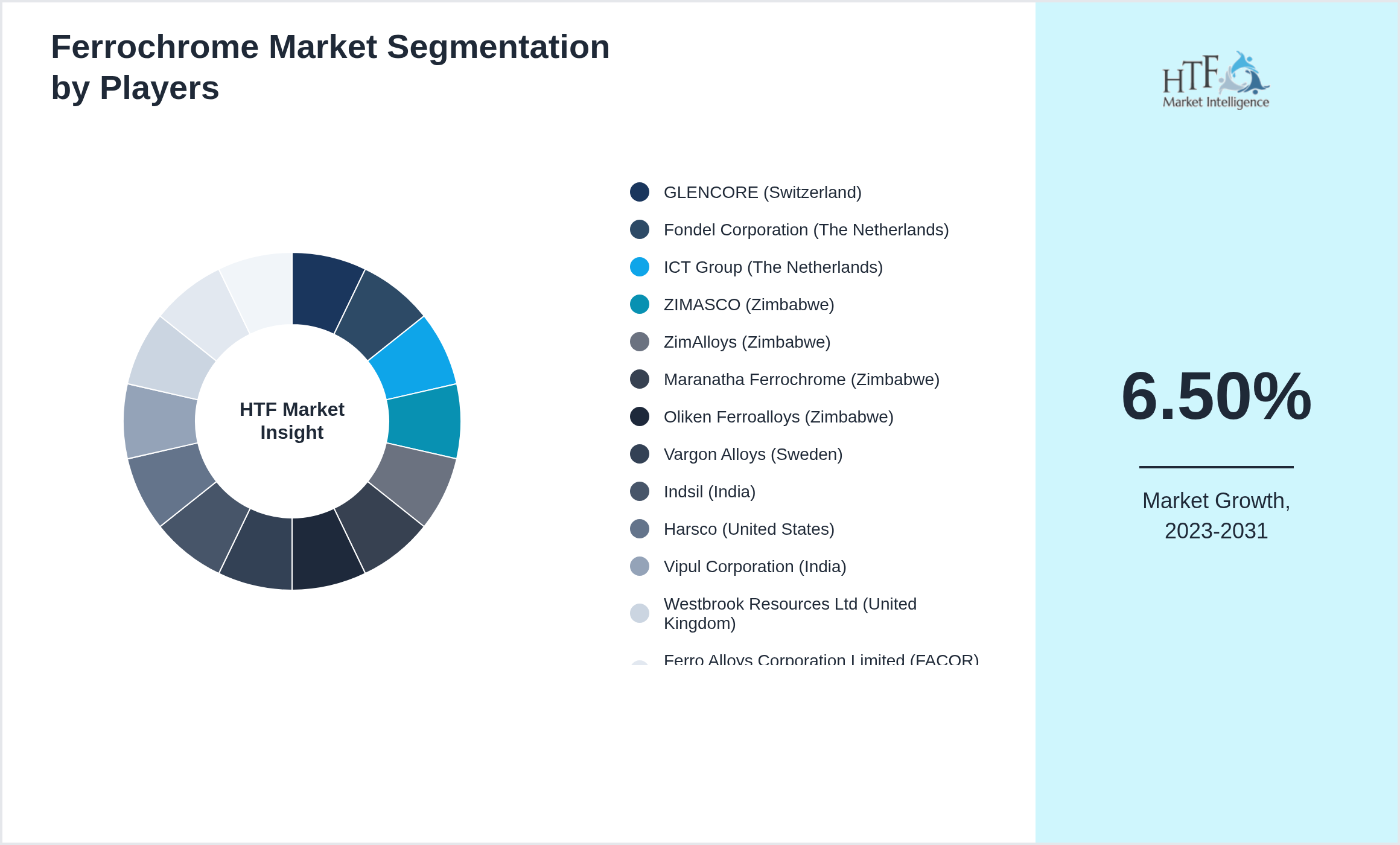 Ferrochrome Market share by key players