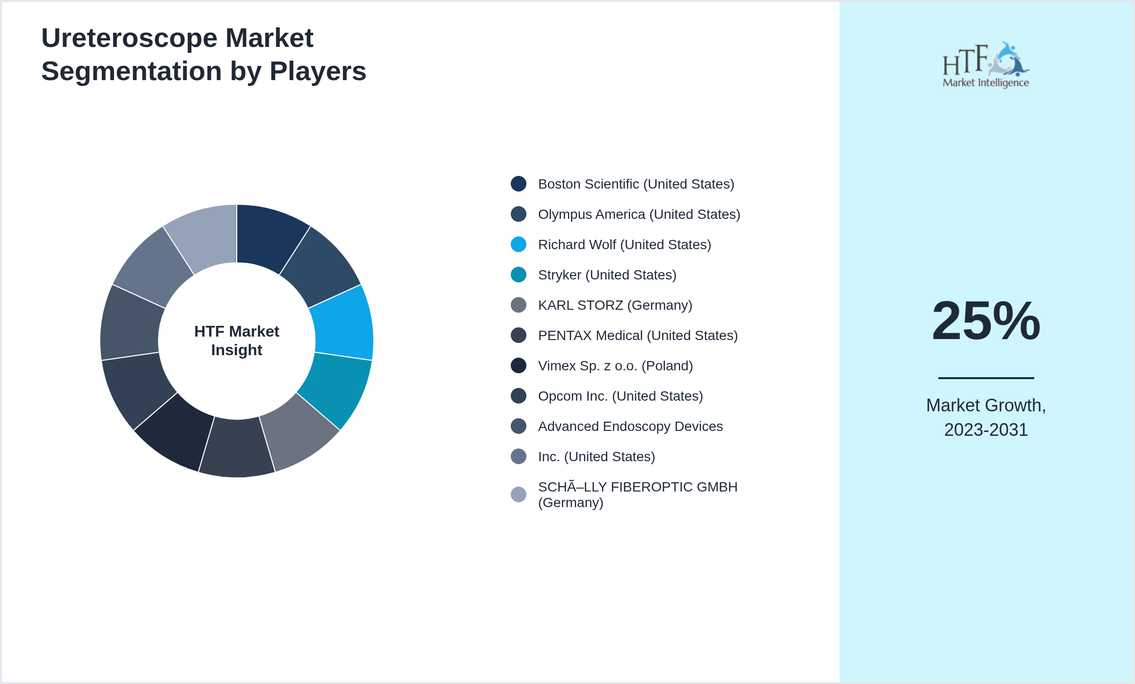 Ureteroscope Market segment growth and share by companies