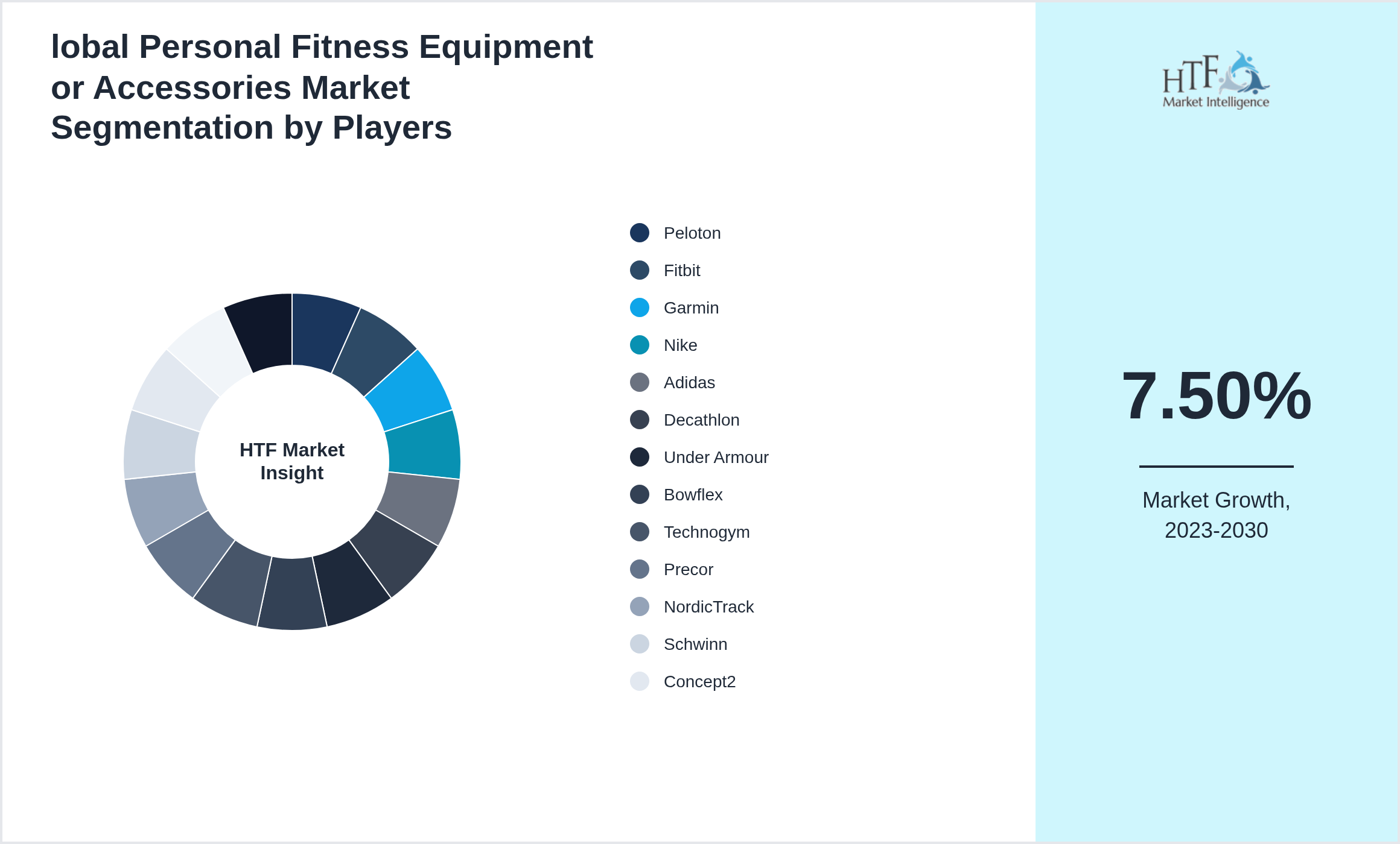 lobal Personal Fitness Equipment or Accessories Market share by key players