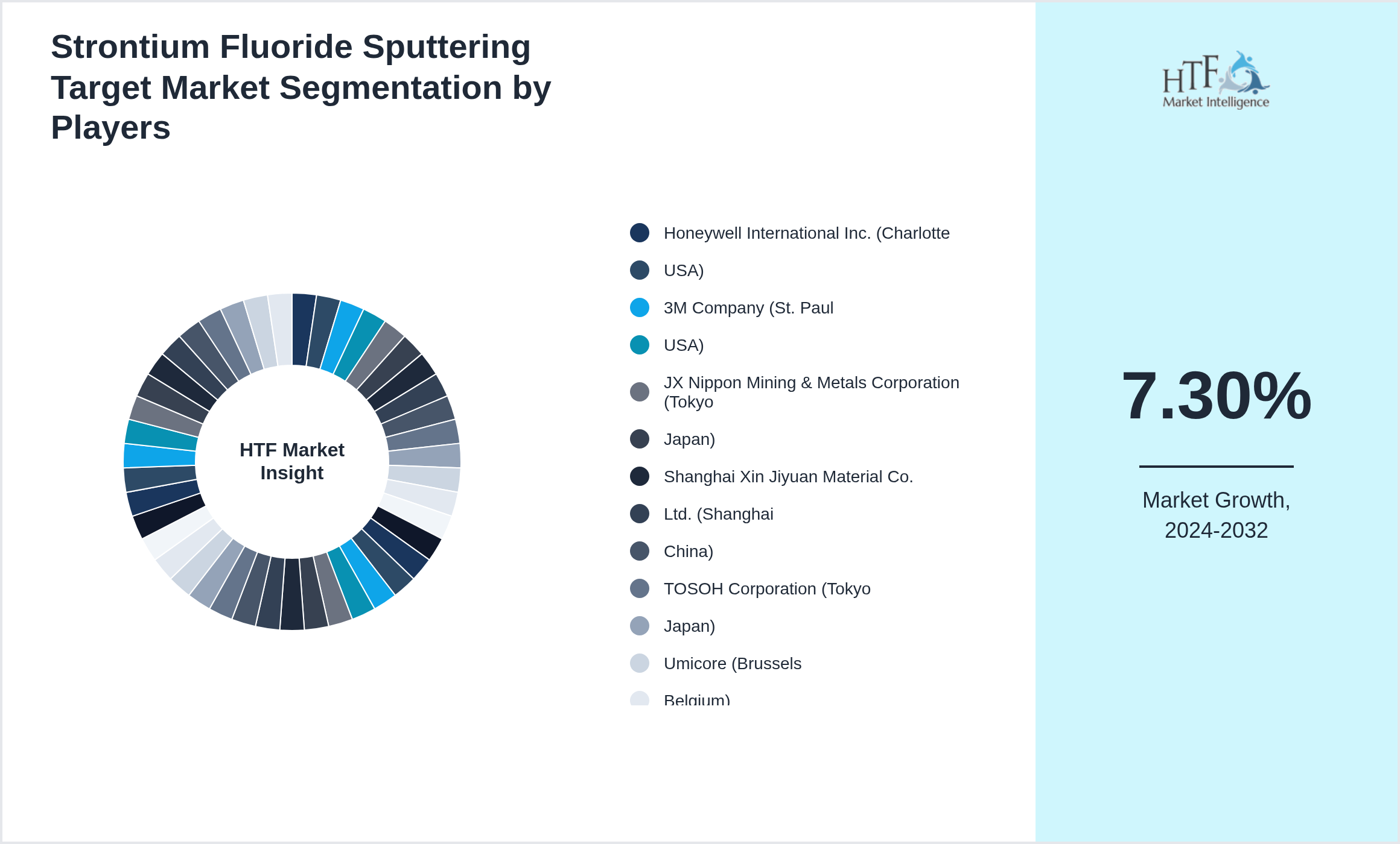 Strontium Fluoride Sputtering Target Market share by key players