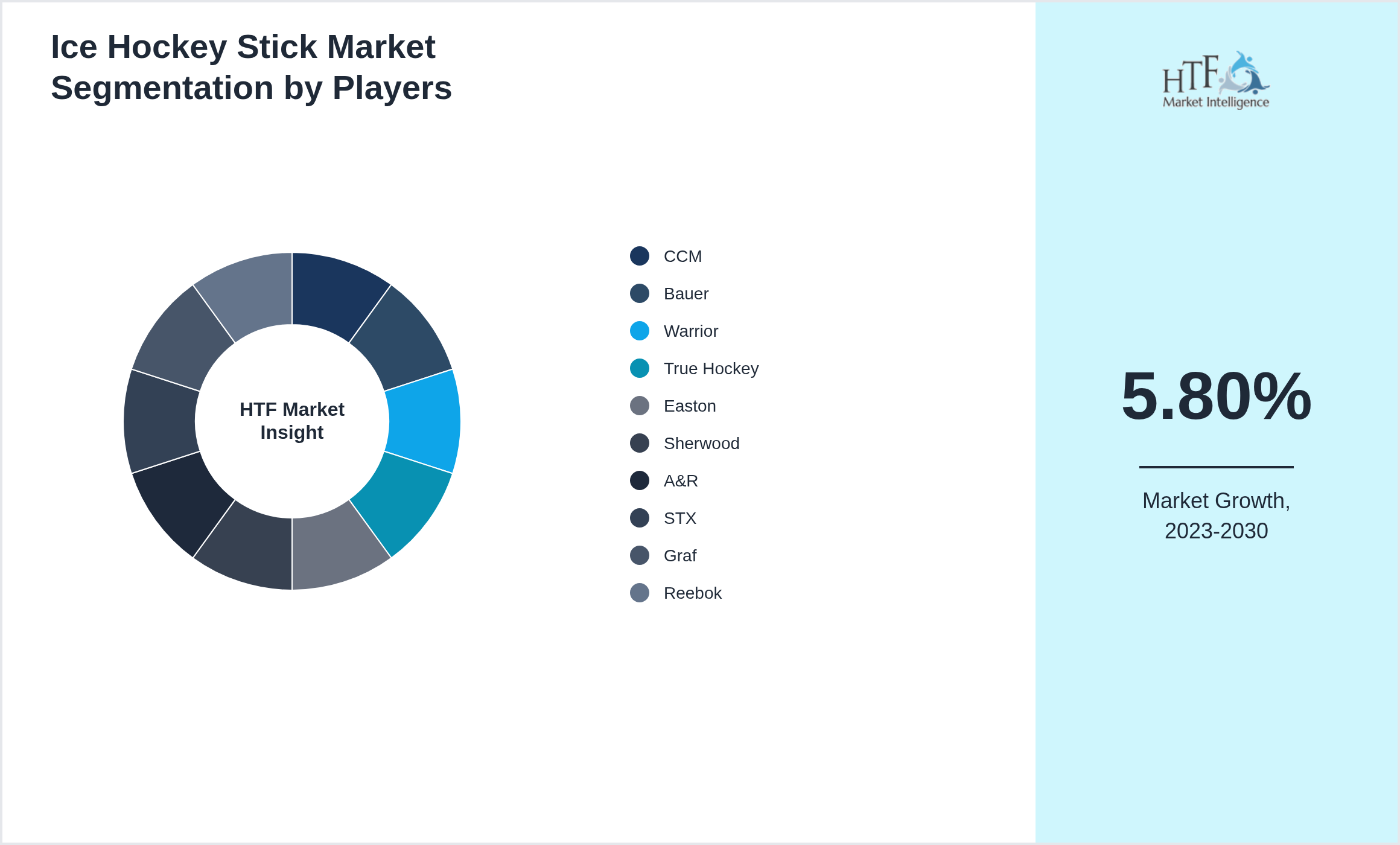 Ice Hockey Stick Market segment growth and share by companies
