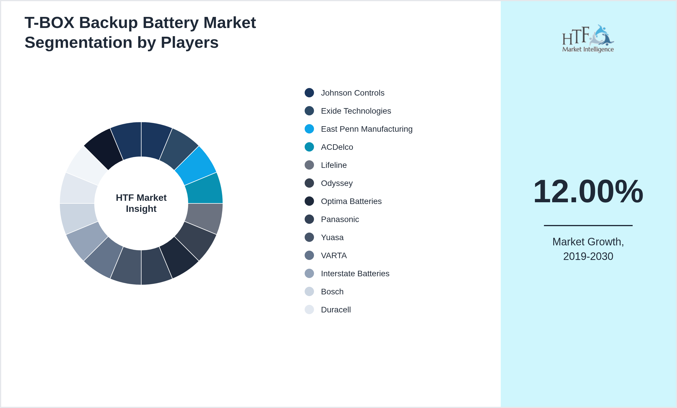 T-BOX Backup Battery Market share by key players