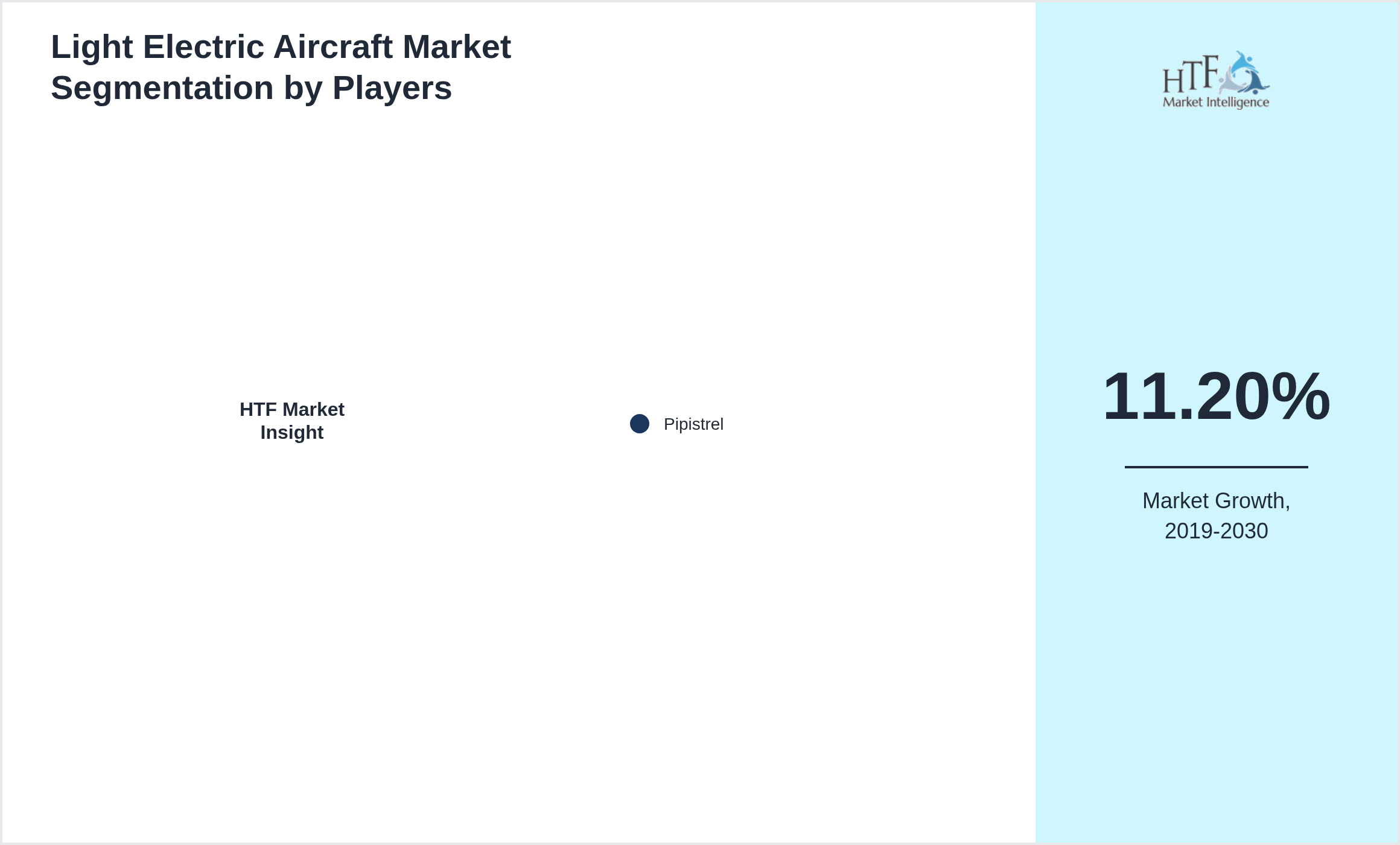 Light Electric Aircraft Market analysis for Pipistrel