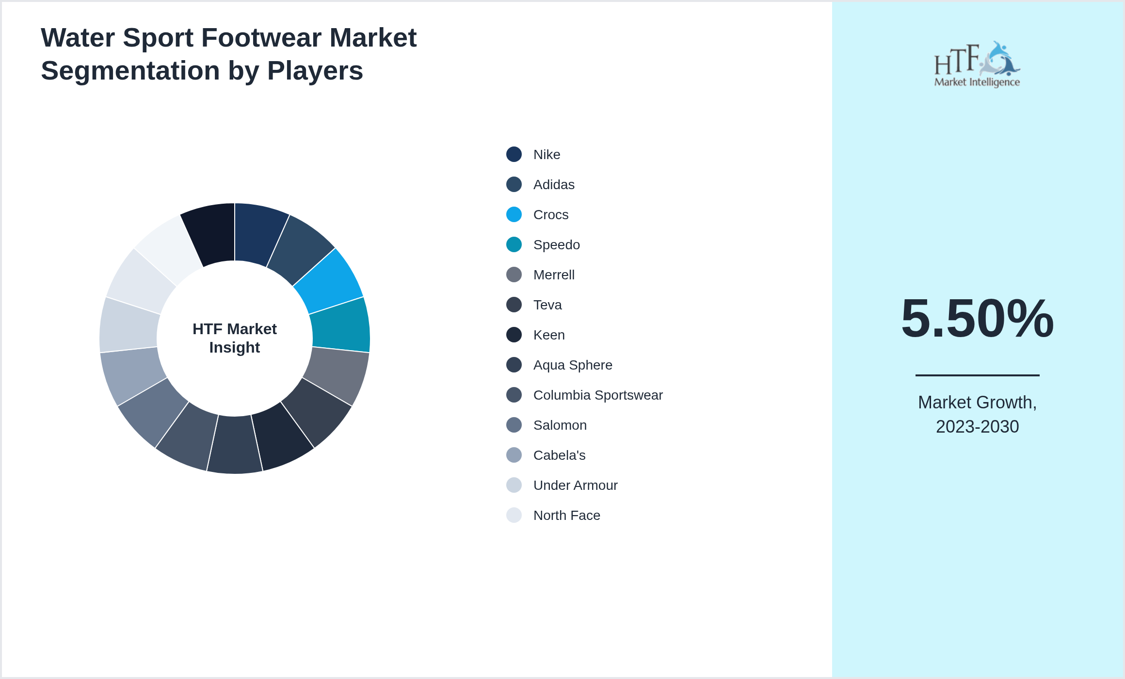 Water Sport Footwear Market segment growth and share by companies