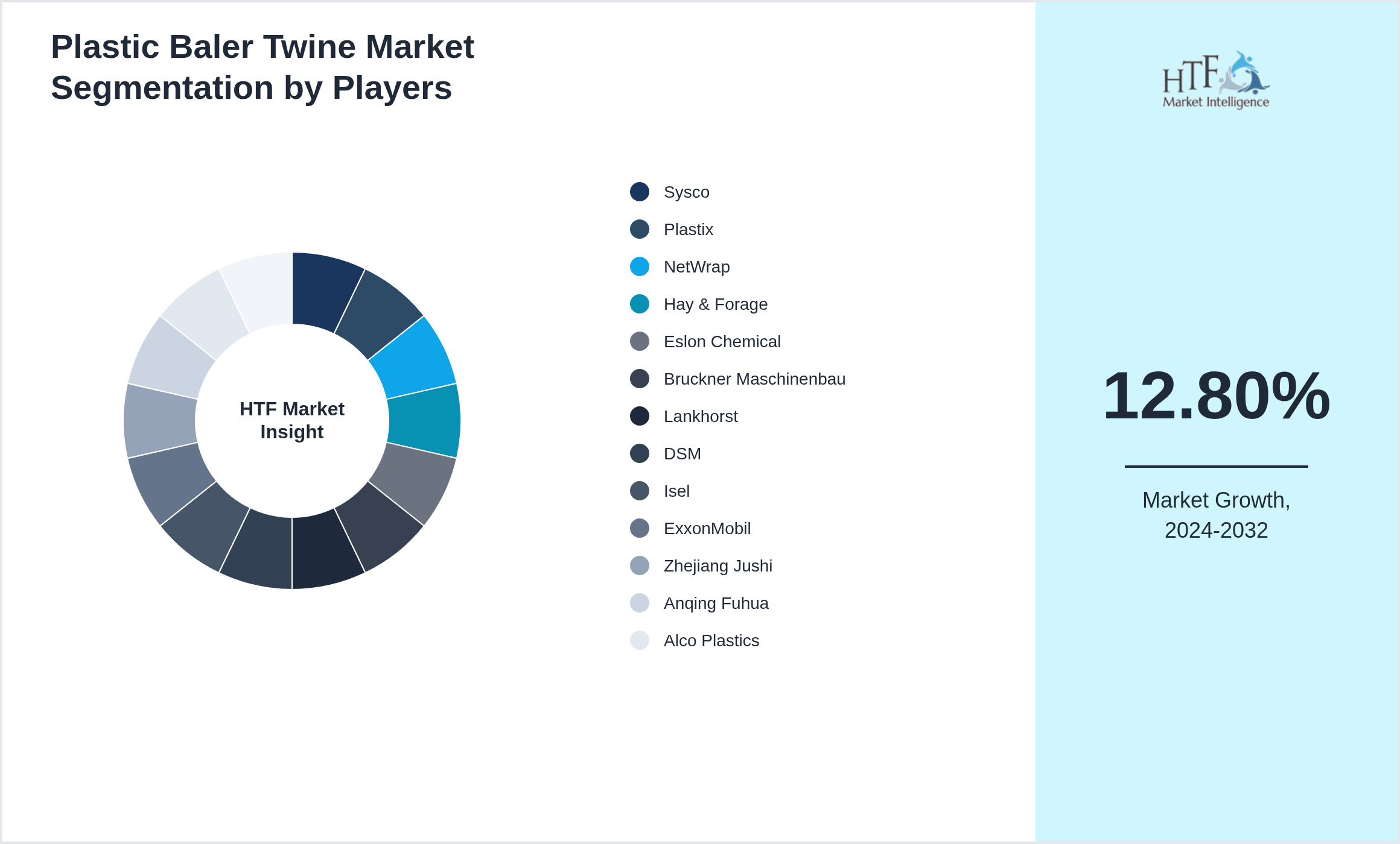 Plastic Baler Twine Market revenue share by leading and emerging players
