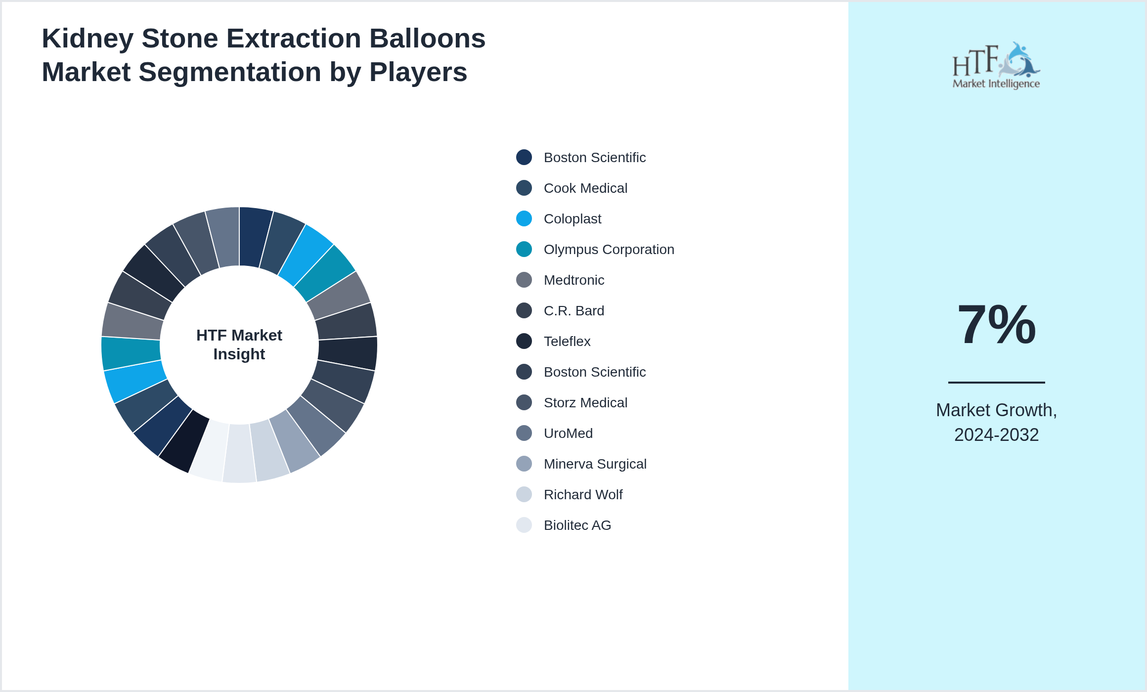 Kidney Stone Extraction Balloons Market segment growth and share by companies