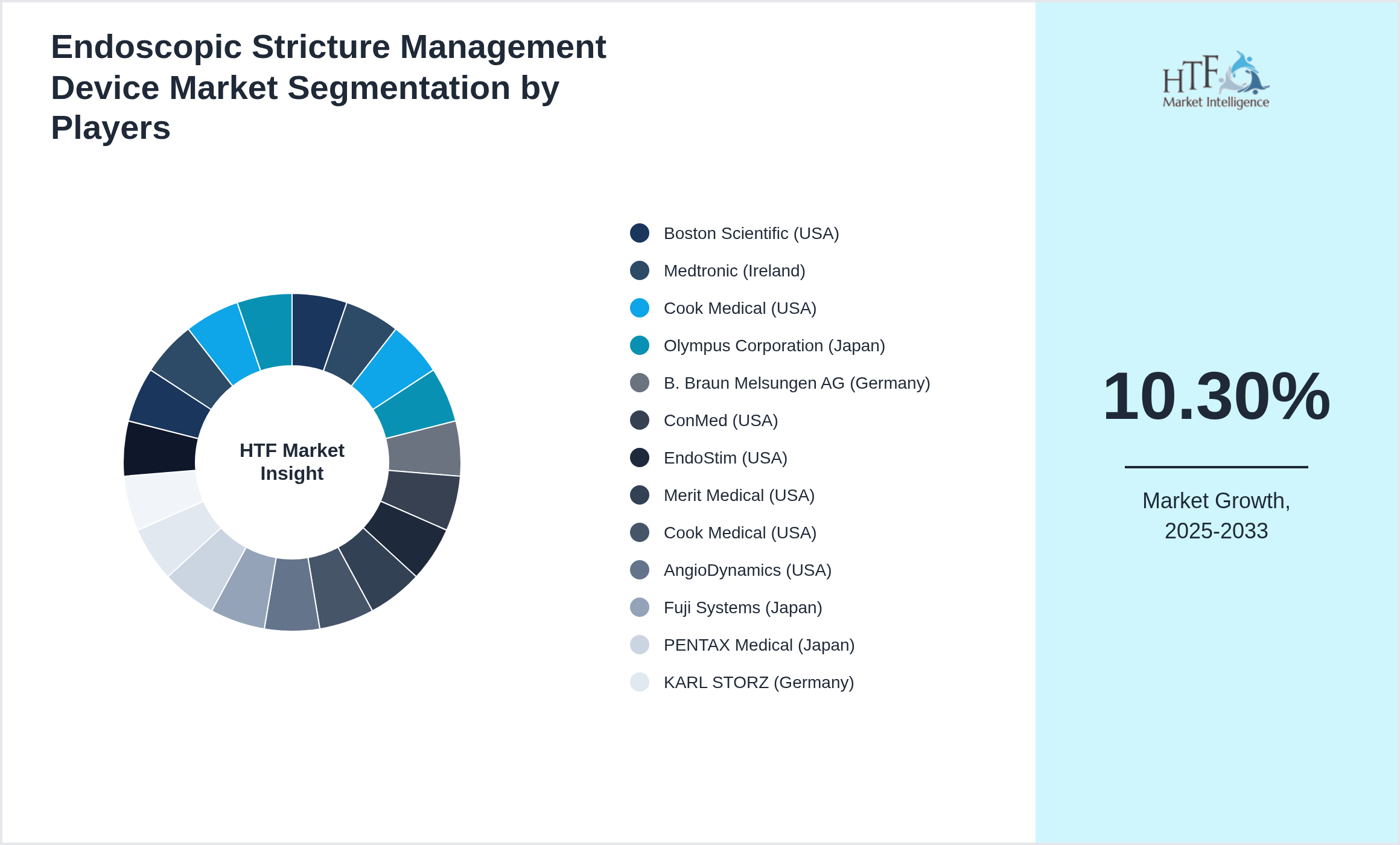 Endoscopic Stricture Management Device Market Company analysis and in-depth profiling