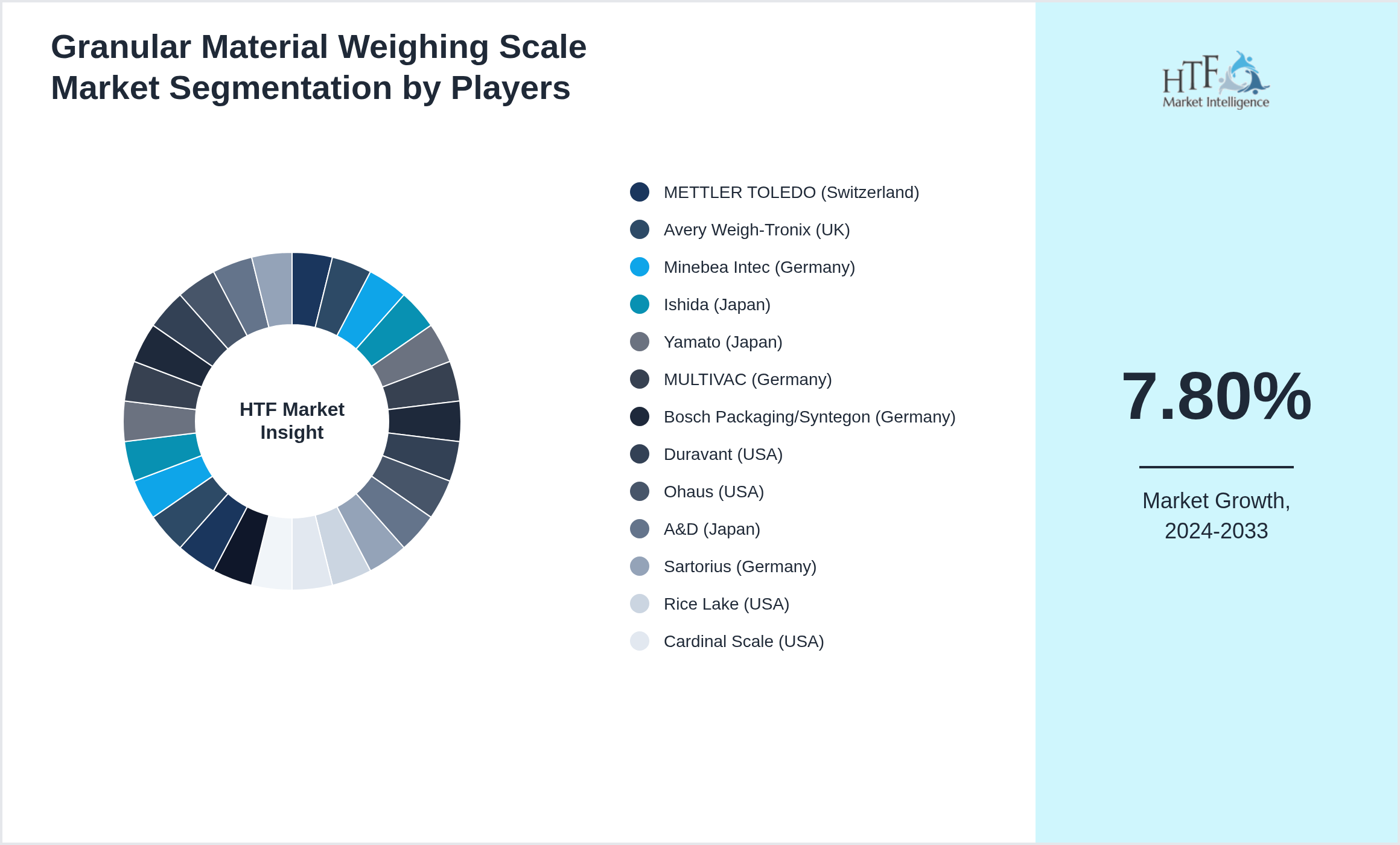 Granular Material Weighing Scale Market segment growth and share by companies